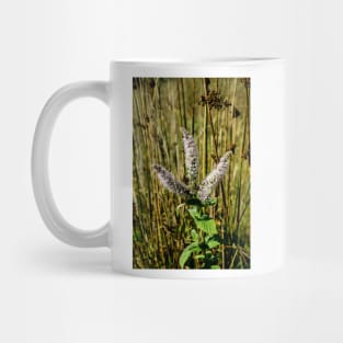 3142016 Wild flora Mug